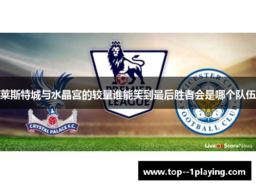 莱斯特城与水晶宫的较量谁能笑到最后胜者会是哪个队伍