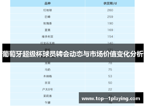 葡萄牙超级杯球员转会动态与市场价值变化分析 葡萄牙超级杯球员转会动态与市场价值变化分析